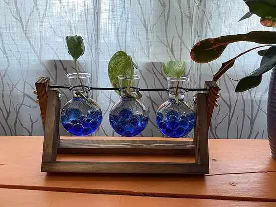 bulb glass vase
