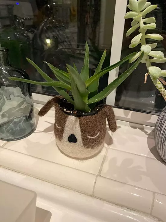 animal plant pots